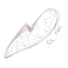 ajc11202009