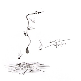 ajc11292009