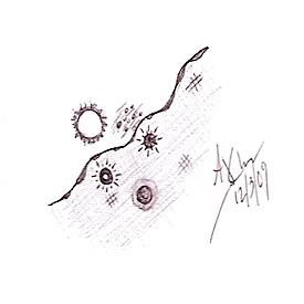 ajc12032009